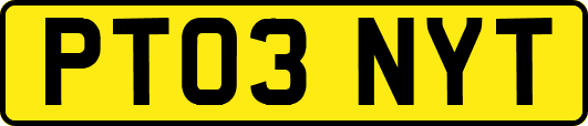 PT03NYT