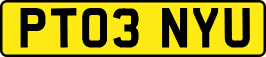 PT03NYU