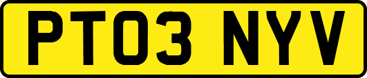 PT03NYV