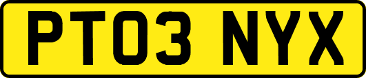 PT03NYX