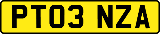 PT03NZA