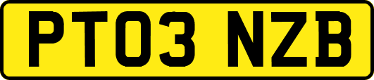 PT03NZB