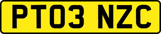 PT03NZC