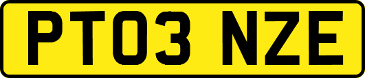 PT03NZE