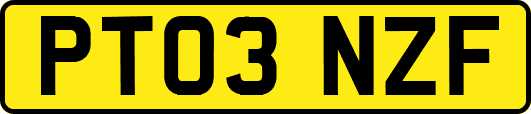 PT03NZF
