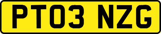 PT03NZG