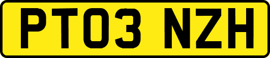 PT03NZH
