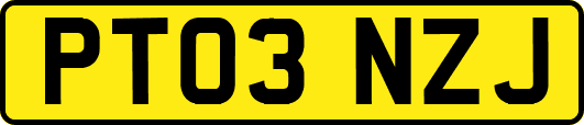 PT03NZJ