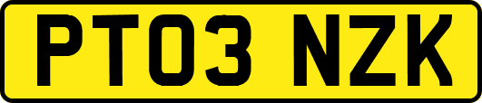 PT03NZK
