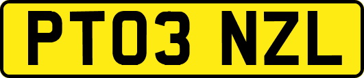 PT03NZL