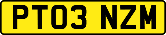 PT03NZM
