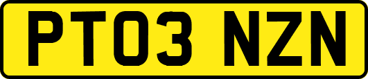 PT03NZN