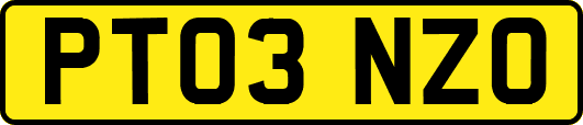 PT03NZO