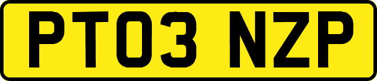PT03NZP