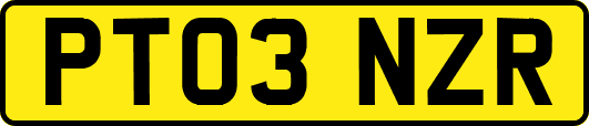 PT03NZR
