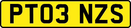 PT03NZS