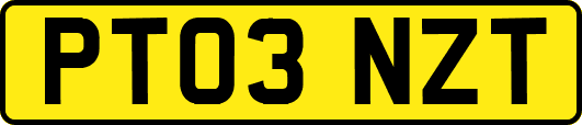 PT03NZT