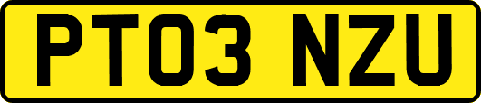 PT03NZU