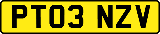 PT03NZV