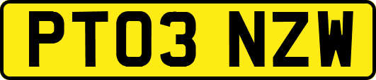 PT03NZW