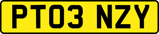 PT03NZY