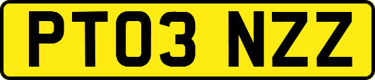 PT03NZZ