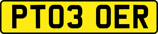 PT03OER
