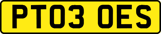 PT03OES