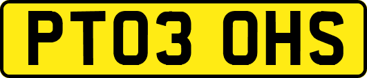PT03OHS