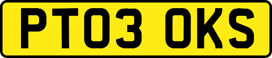 PT03OKS