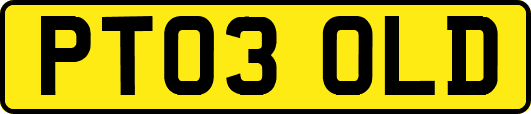 PT03OLD