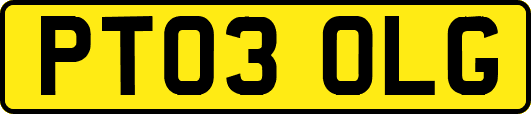 PT03OLG