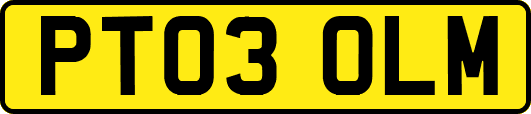PT03OLM