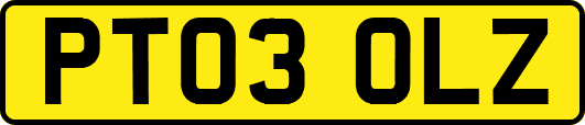 PT03OLZ