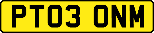 PT03ONM
