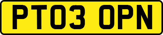PT03OPN
