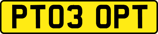 PT03OPT