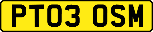 PT03OSM
