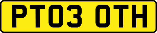 PT03OTH
