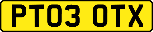 PT03OTX
