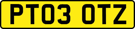 PT03OTZ