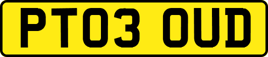 PT03OUD