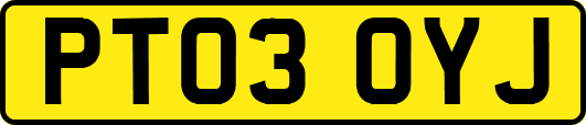PT03OYJ