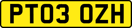 PT03OZH