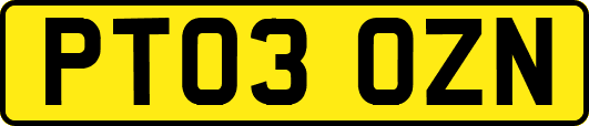 PT03OZN