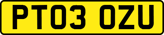 PT03OZU