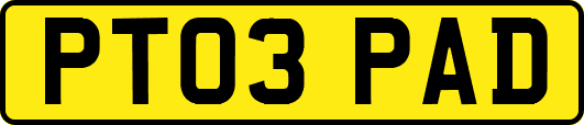 PT03PAD