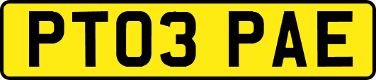 PT03PAE