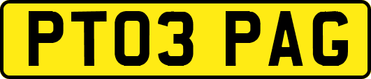 PT03PAG