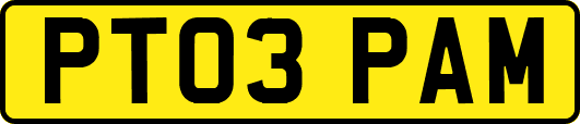 PT03PAM